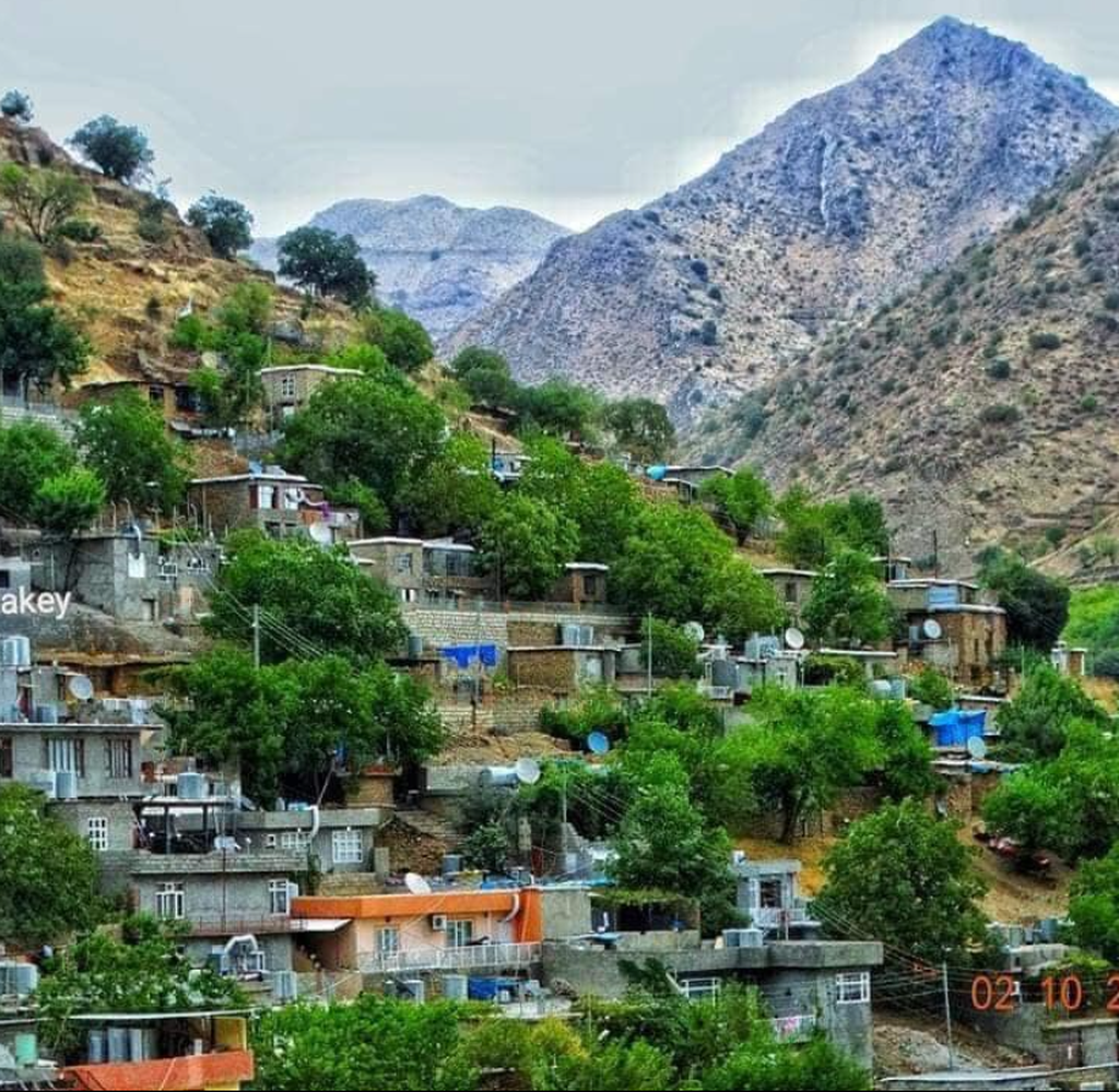 ديالى