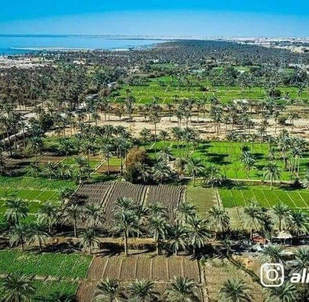 بحر النجف