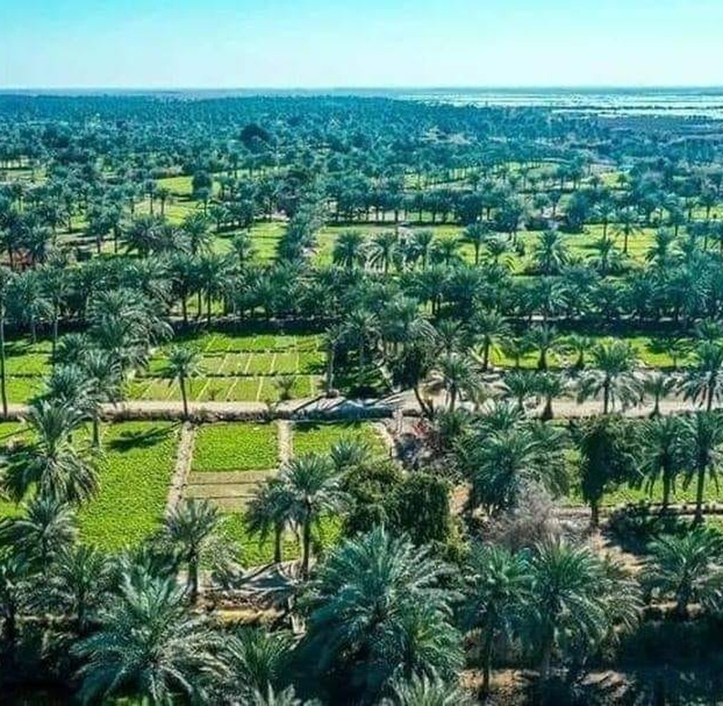 بحر النجف