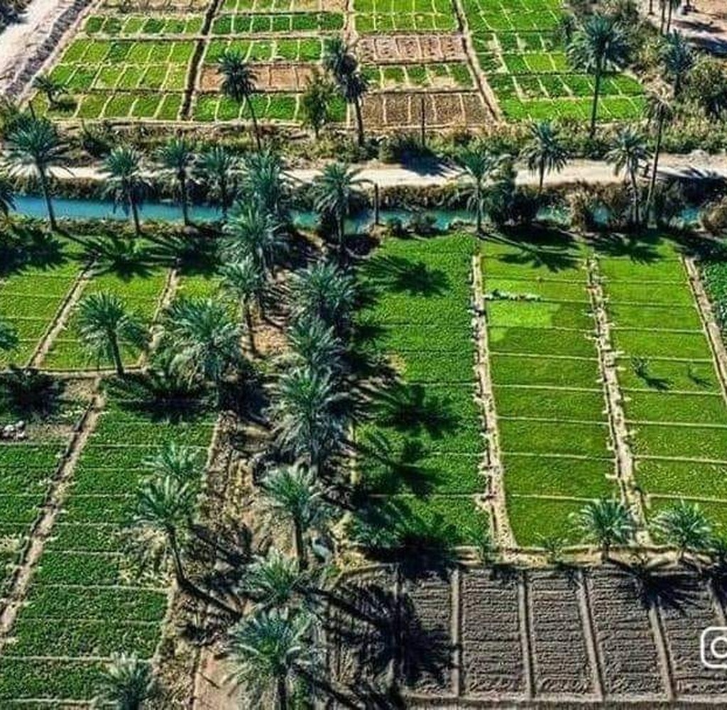 بحر النجف