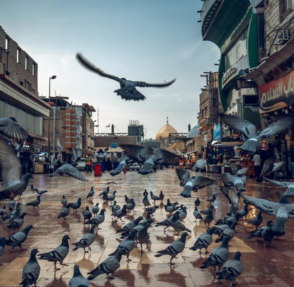مرقد الإمام علي بن أبي طالب (عليه السلام) – العتبة العلوية المقدسة