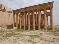 مملكة الحضر - صورة 4