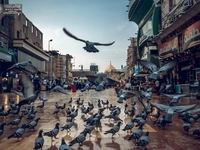 مرقد الإمام علي بن أبي طالب (عليه السلام) – العتبة العلوية المقدسة - صورة 3