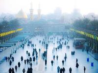 كربلاء المقدسة - صورة 3