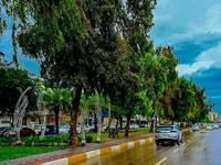 النجف الأشرف - صورة 6